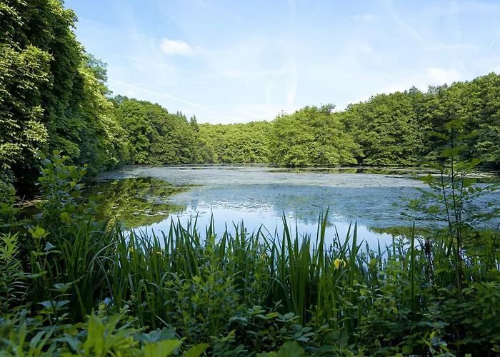 Jagdschloss Kranichstein Hotel 4*